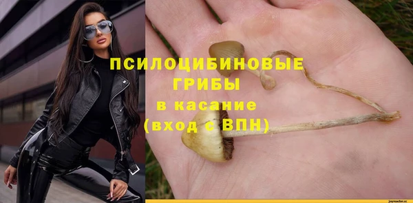 Альфа ПВП Армянск