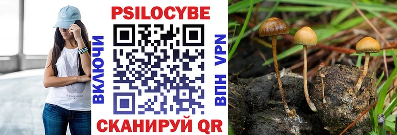 Купить где  Сердобск  Галлюциногенные грибы мухоморы 